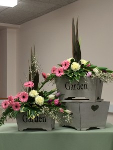 IMG_0479